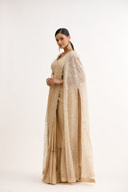 Noorani Sparkle Cutdana Cape Style Saree Set