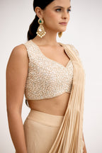 Noorani Sparkle Cutdana Cape Style Saree Set