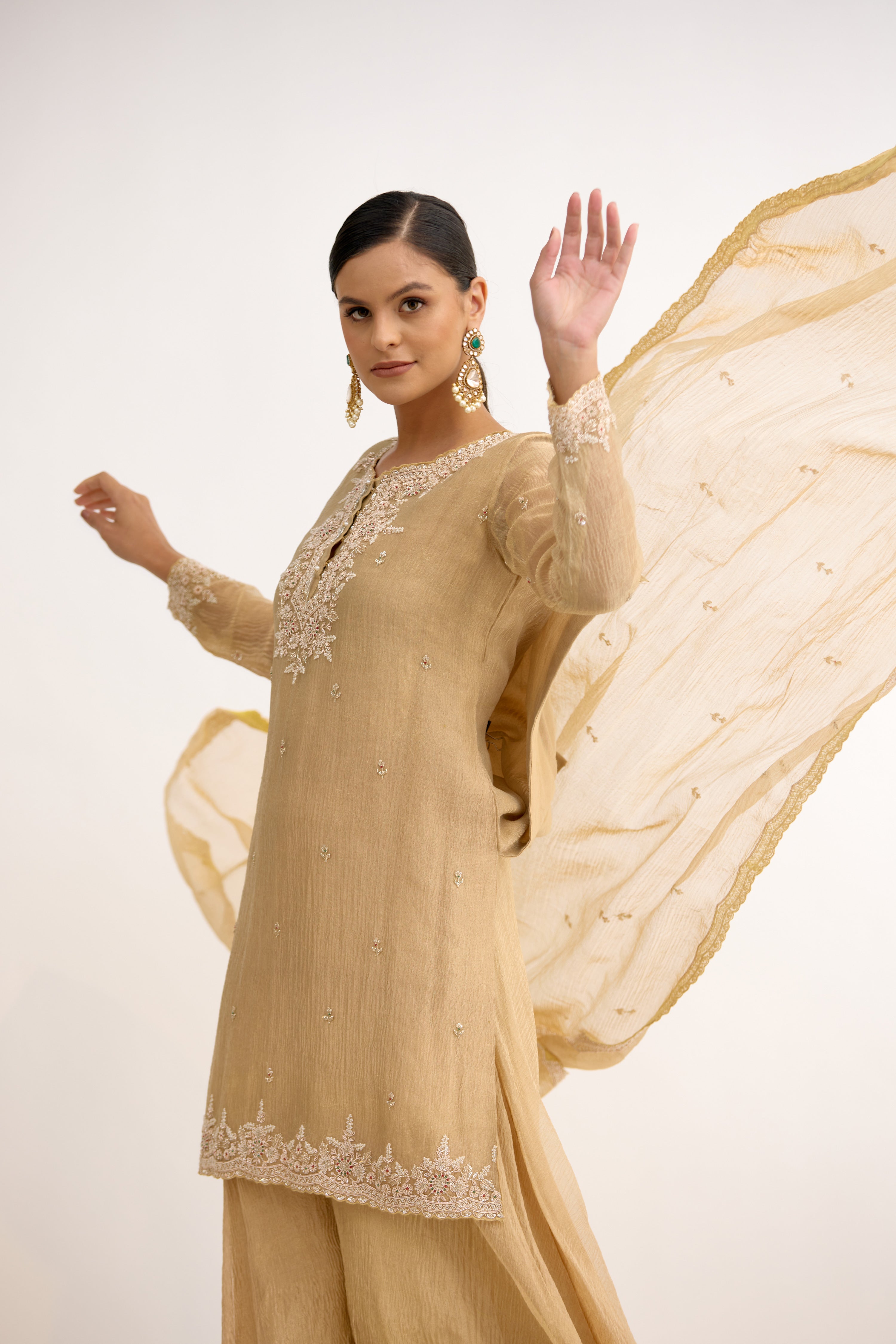 Aarzoo-e-Zar Tissue Sharara Suit Set