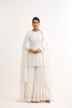 Swanoor Royal Frill Sharara Suit Set