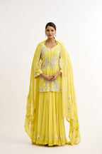 Sham-e-Awadh Royal Sharara Suit Set