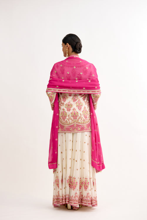 Adaa-e-Nawabi Georgette Sharara Suit Set