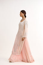 Contemporary Shahi Sharara Suit Set
