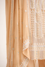 Aaina Royale Signature Straight Suit