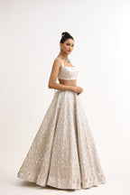 Noor-e-Sequin Georgette Lehenga Set