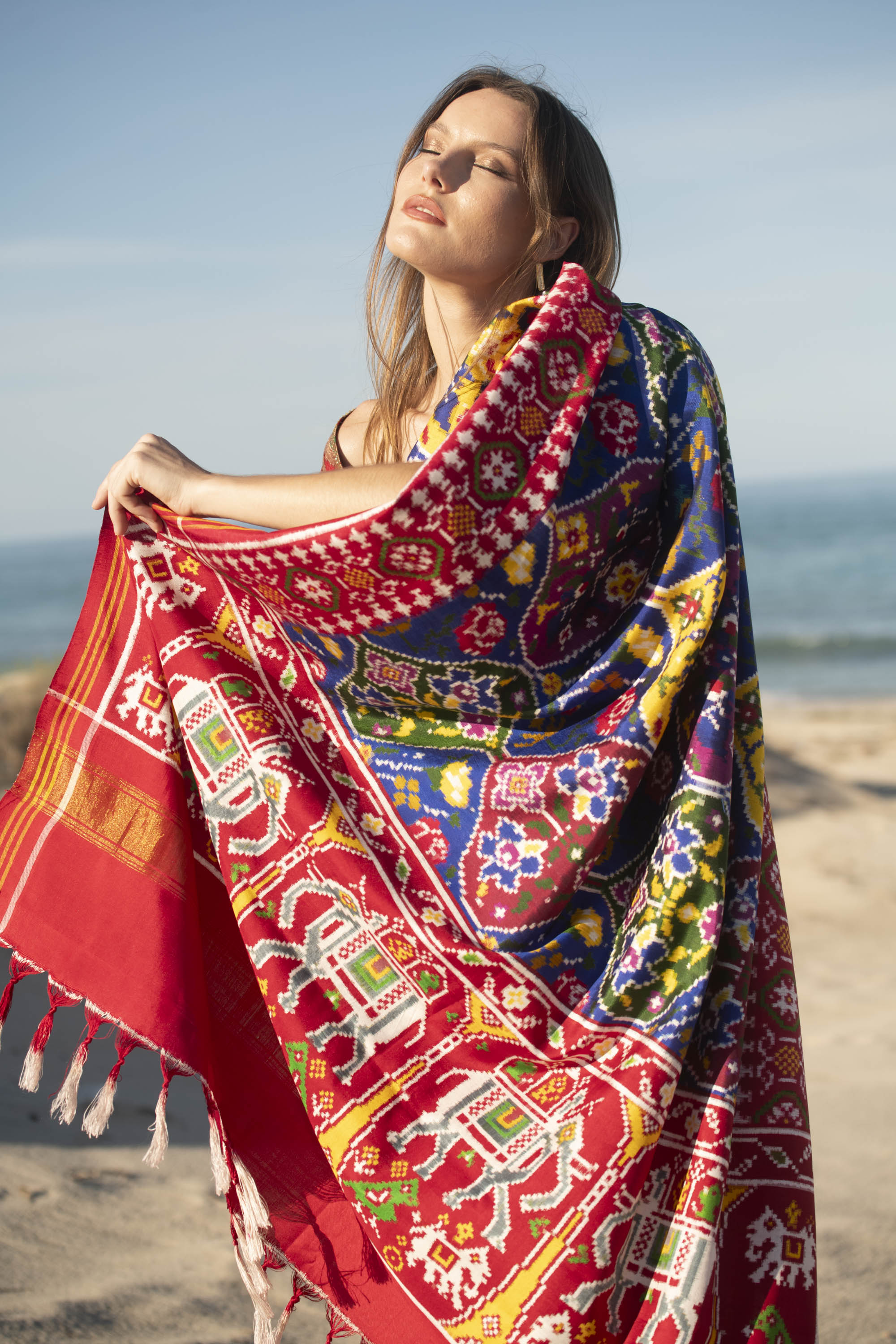 Eternal Royal Blue Pattan Patola Double Ikat Saree