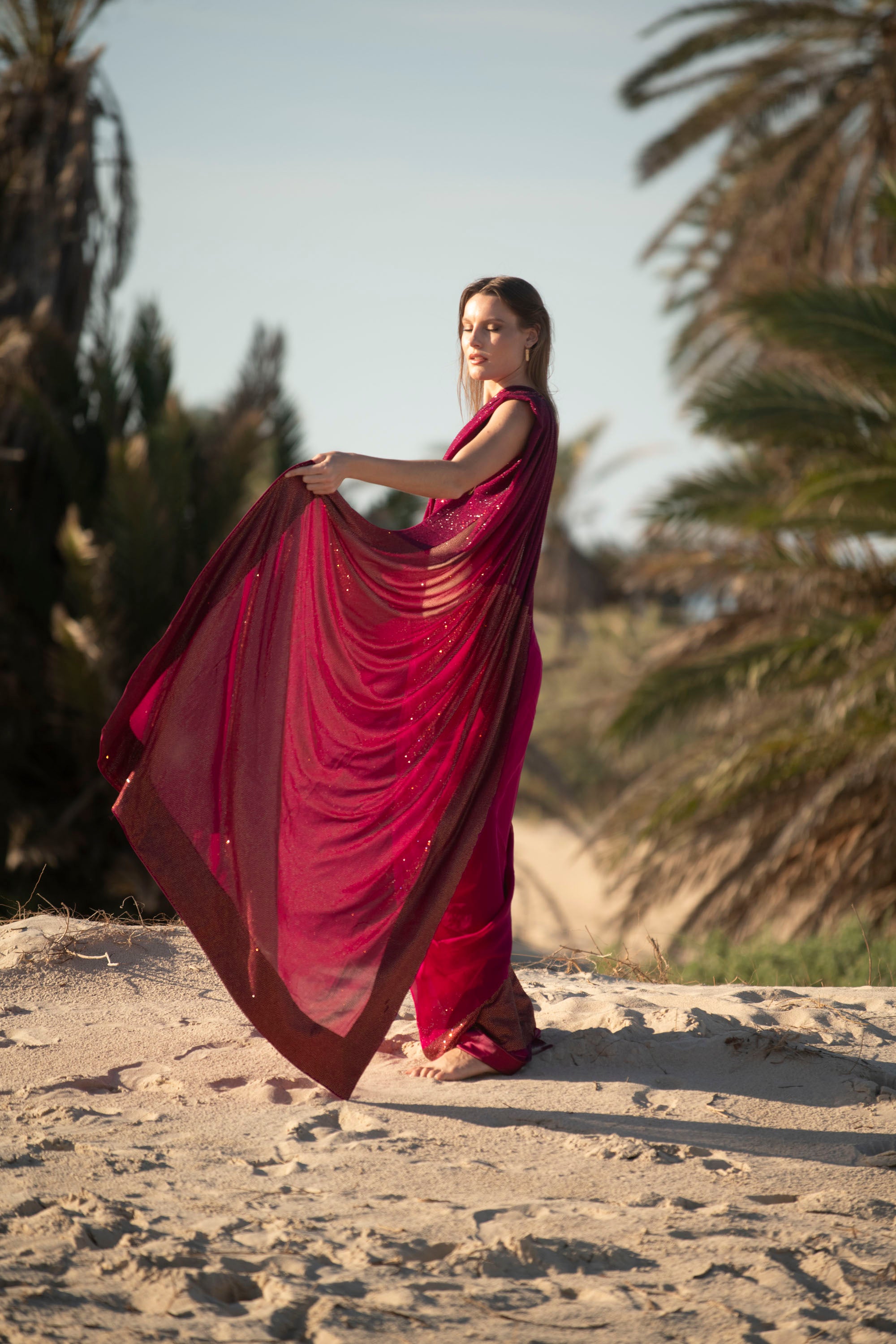 Burgundy Royale Crystal Georgette Saree