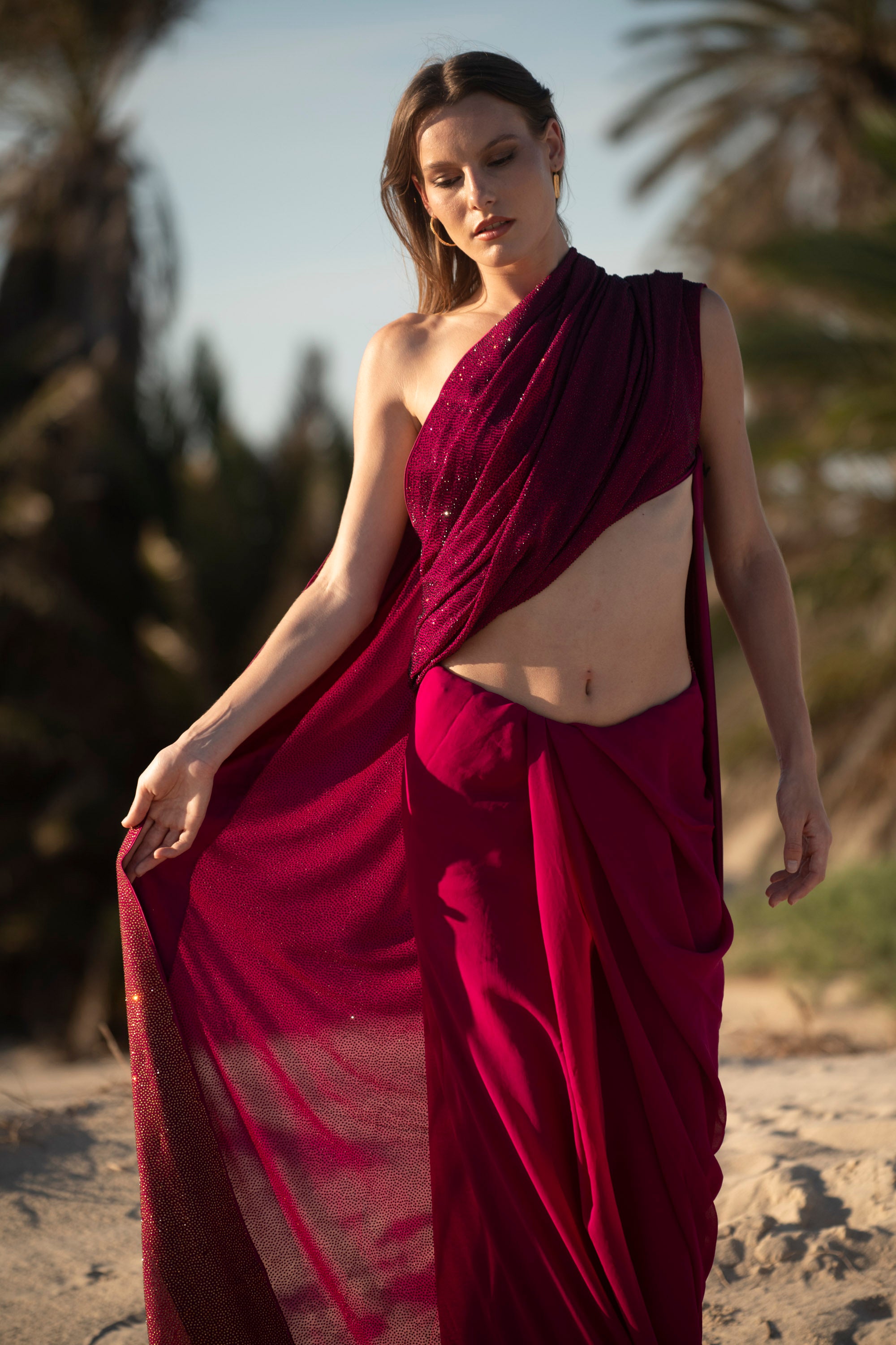 Burgundy Royale Crystal Georgette Saree
