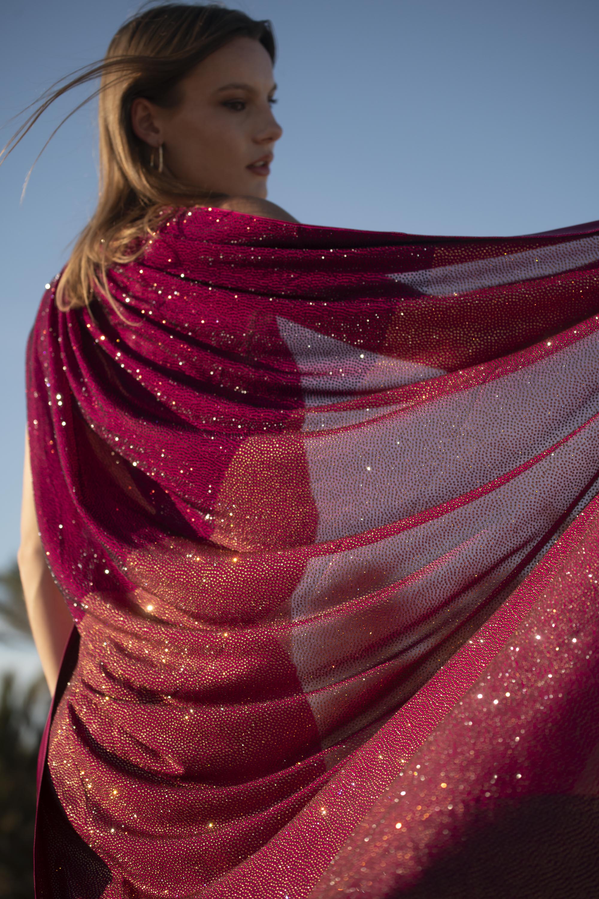 Burgundy Royale Crystal Georgette Saree
