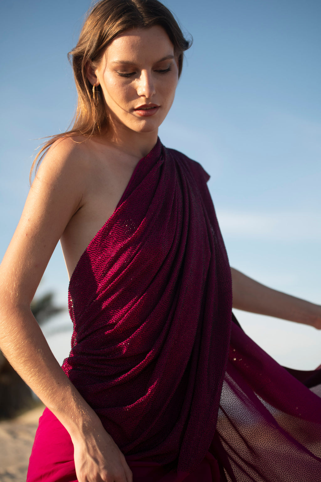 Burgundy Royale Crystal Georgette Saree