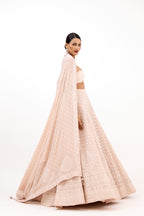 Jahanara Lakhnawi Royal Embroidered Georgette Lehenga Set