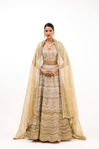 Roshanara Royal Mirrorwork Organza Cocktail Lehenga Set