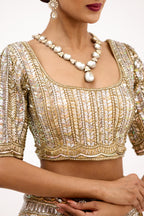 Roshanara Royal Mirrorwork Organza Cocktail Lehenga Set