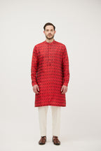 Rangshilp Ikat Patola Kurta Set