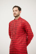 Rangshilp Ikat Patola Kurta Set