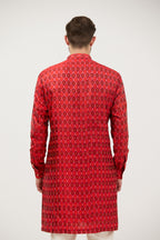 Rangshilp Ikat Patola Kurta Set
