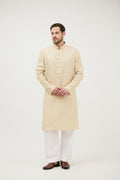 Regal Thread Chickankari Kurta Set