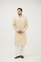 Regal Thread Chickankari Kurta Set